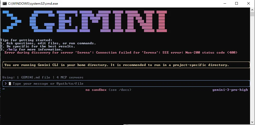 运行 gemini 后出现的界面