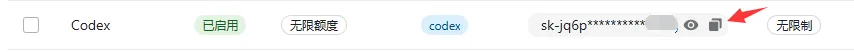 创建 Codex 分组Api密钥并复制 API Key