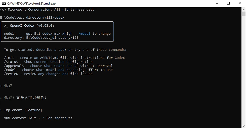 终端运行 codex 的对话界面